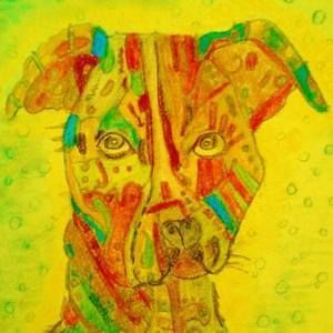 Meet your Posher, Carl